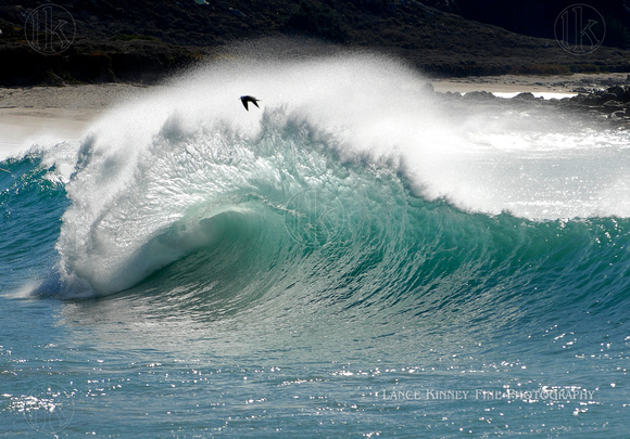 Wave, Carmel, California